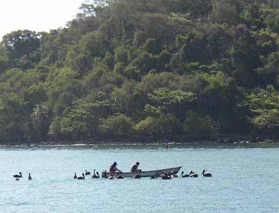 Pche dans la baie Ballena