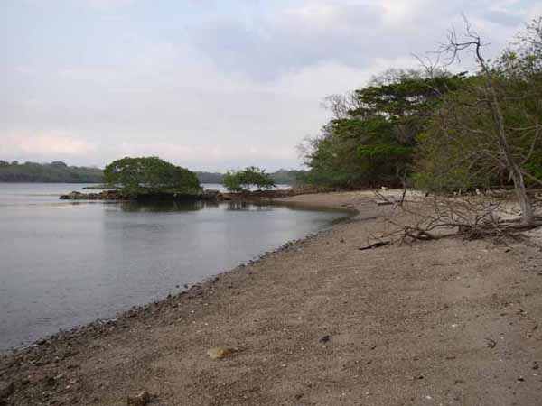 Plage de San Lucas