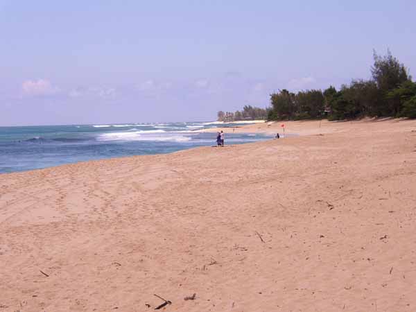 Plage Ehukai