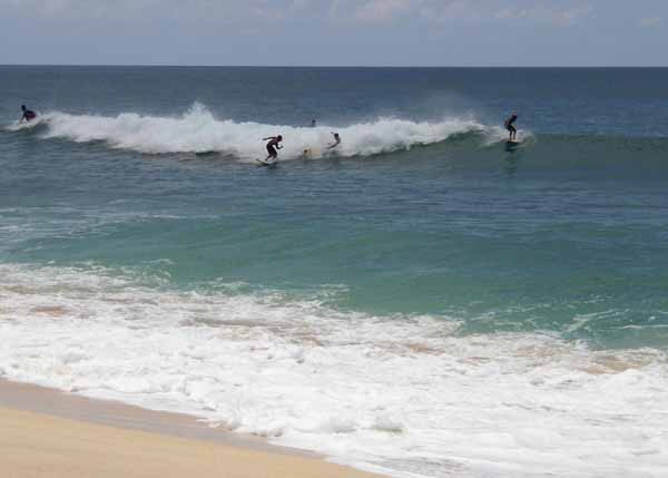 Petits rouleaux et surfeurs