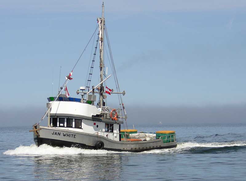 Bateau de peche local