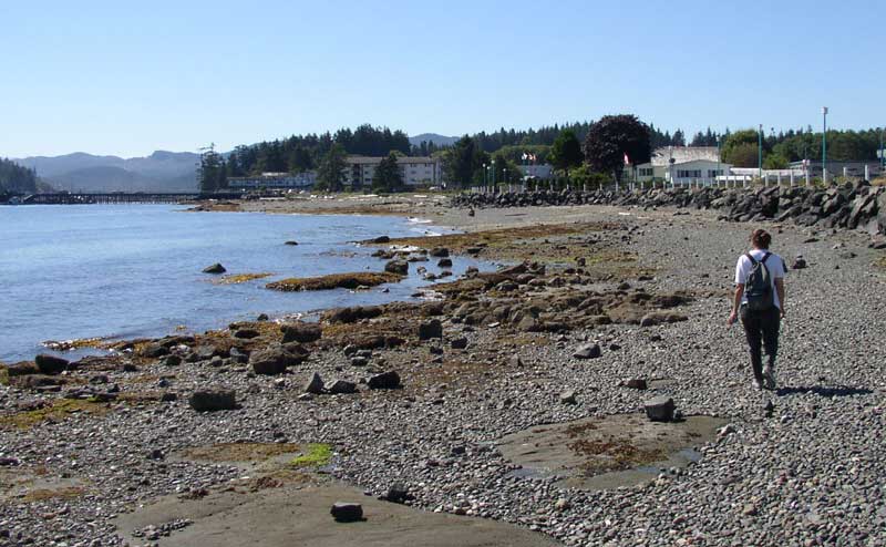 Plage de Port Hardy