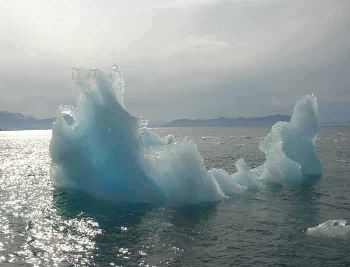 Iceberg