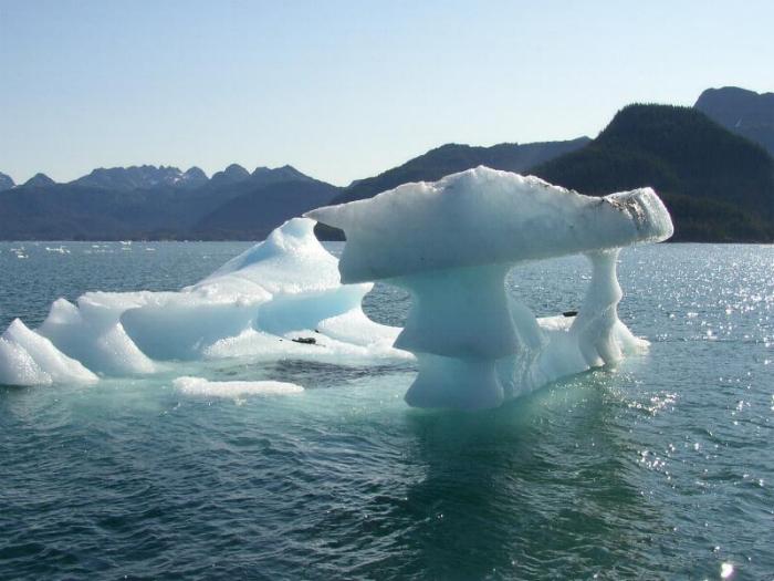 Iceberg