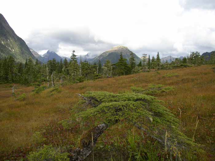 Prairies environnantes