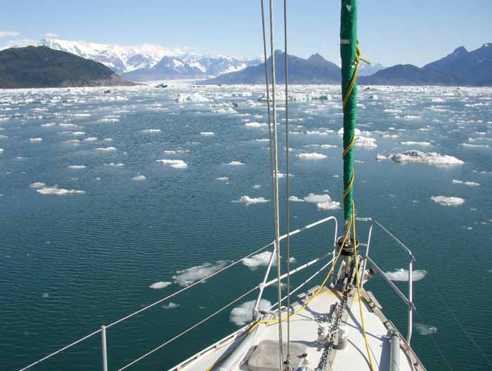 Champ de glace dans la baie devant Columbia Glacier