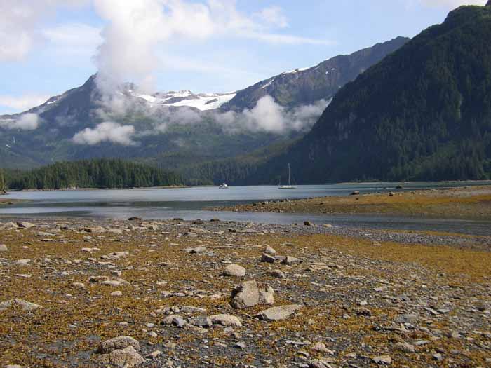 Baie de Sawmill